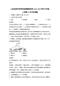 2024-2025学年山东省滨州市阳信县集团校联考七年级(上)10月月考生物试卷(解析版)