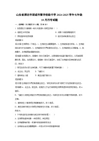 2024-2025学年山东省潍坊市诸城市繁华初级中学七年级(上)10月月考生物试卷(解析版)