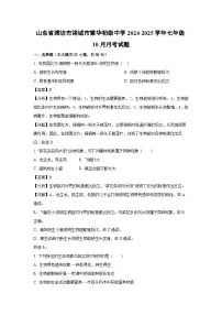 2024-2025学年山东省潍坊市诸城市繁华初级中学七年级(上)10月月考生物试卷(解析版)