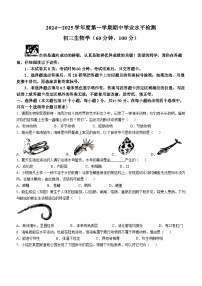 山东省烟台市南部2024-2025学年八年级上学期期中生物学试题(无答案)