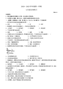 辽宁省大连市瓦房店市2024-2025学年七年级上学期期中生物学试题(无答案)