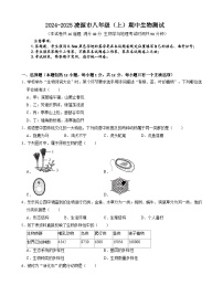 辽宁省朝阳市凌源市2024-2025学年八年级上学期11月期中生物试题
