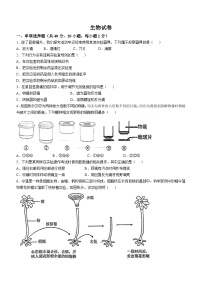 辽宁省鞍山市高新区2024-2025学年七年级上学期期中生物学试题