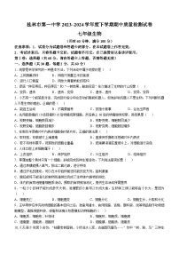 广西桂林市第一中学2024-2025学年七年级上学期期中生物试题(无答案)