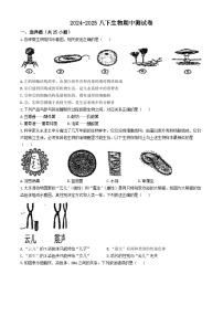 河北省廊坊市第四中学2024-2025学年八年级上学期期中生物试题(无答案)