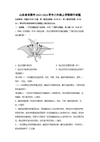 2023-2024学年山东省乐陵市八年级(上)期中生物试卷(解析版)