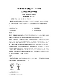 2023-2024学年山东省枣庄市山亭区八年级(上)期中生物试卷(解析版)