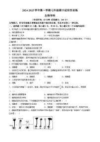 福建省福州市杨桥中学2024-2025学年七年级上学期期中生物学试题(无答案)