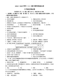 广东省东莞市塘厦初级中学2024-2025学年八年级上学期期中生物学试题(无答案)