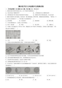 江西省赣州市经开区2024～2025学年七年级(上)期中生物试卷(含答案)