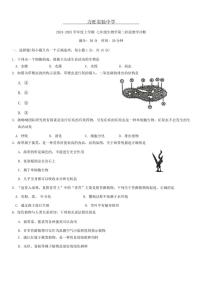 吉林省长春市力旺实验初级中学2024～2025学年七年级(上)期中生物试卷(含答案)