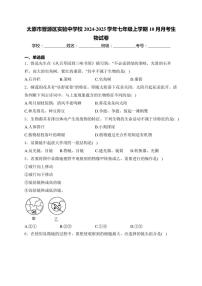 山西省太原市晋源区实验中学校2024～2025学年七年级(上)10月月考生物试卷(含答案)