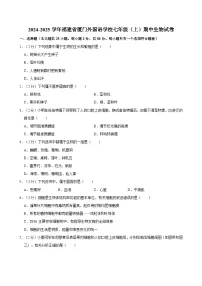福建省厦门外国语学校2024-2025学年七年级上学期期中考试生物试卷