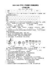 湖南省娄底市2024-2025学年七年级上学期11月期中生物试题