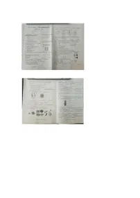 山西省忻州市第七中学校2024-2025学年七年级上学期11月期中生物试题