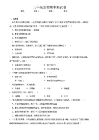 广东省深圳市宝安区振兴学校2024-2025学年八年级上学期期中生物试题