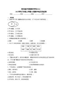 四川省泸州高级中学校2024-2025学年八年级上学期11月期中考试生物试卷(含答案)