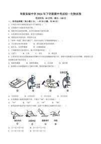 湖南省衡阳市华新实验中学2024～2025学年七年级(上)期中生物试卷(含答案)