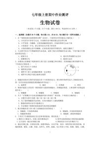 四川省南充市白塔中学2024-2025学年七年级上学期期中检测生物试题