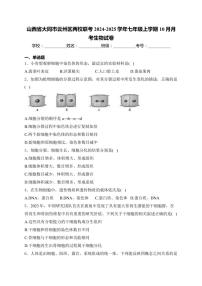 山西省大同市云州区两校联考2024～2025学年七年级(上)10月月考生物试卷(含答案)