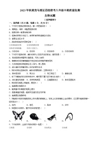 四川省泸州市龙马潭区四校联考2023-2024学年八年级上学期期中生物试题