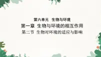 初中生物济南版（2024）八年级下册第二节 生物对环境的适应与影响图文课件ppt