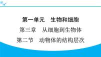 人教版（2024）七年级上册（2024）第一单元 生物和细胞第三章 从细胞到生物体第二节 动物体的结构层次习题课件ppt