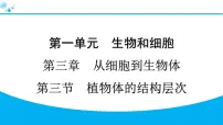 初中生物人教版（2024）七年级上册（2024）第三节 植物体的结构层次习题ppt课件