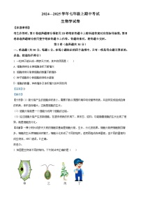 四川省自贡市富顺第二中学校2024-2025学年七年级上学期期中生物学试题（解析版）-A4