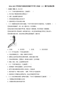 四川省南充市阆中中学2024-2025学年八年级上学期期中考试生物试卷-A4