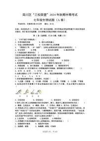 重庆市南川区三校联盟2024-2025学年七年级上学期期中考试生物试题（A卷）
