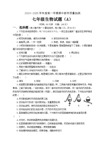 山东省滨州市滨城区2024-2025学年七年级上学期期中考试生物试题