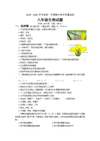山东省滨州市滨城区2024-2025学年八年级上学期期中考试生物试题