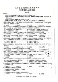 安徽省蚌埠市固镇县淮三角联考2024-2025学年七年级上学期11月期中生物试题