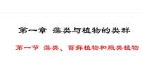 人教版（2024）七年级上册（2024）第一节 藻类、苔藓和蕨类教学ppt课件