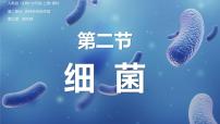 初中生物人教版（2024）七年级上册（2024）第二节 细菌图片ppt课件