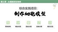 人教版（2024）七年级上册（2024）综合实践项目 制作细胞模型备课ppt课件