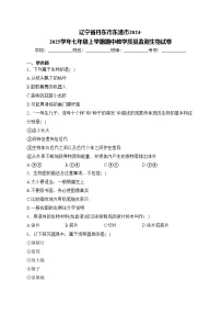 辽宁省丹东市东港市2024-2025学年七年级上学期期中教学质量监测生物试卷(含答案)
