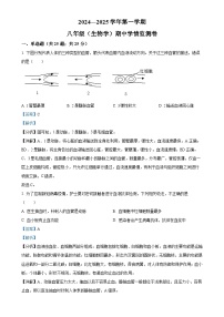 陕西省安康市汉滨高级中学2024-2025学年八年级上学期期中生物学试题（解析版）-A4