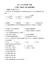 陕西省安康市汉滨高级中学2024-2025学年八年级上学期期中生物学试题（原卷版）-A4