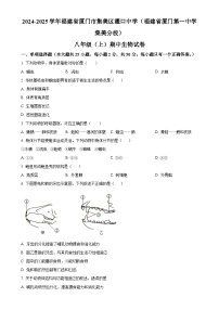 福建省厦门市集美区灌口中学（福建省厦门第一中学集美分校）2024-2025学年八年级上学期期中生物学试题（原卷版）-A4