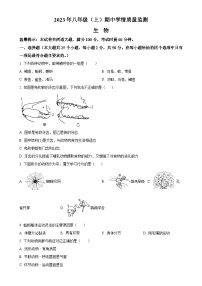 湖南省邵阳市新邵县2023-2024学年八年级上学期期中生物学试题（原卷版）-A4