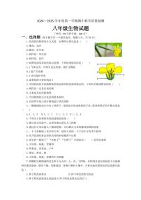 山东省滨州市滨城区2024～2025学年八年级(上)期中生物试卷(含答案)