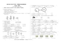 新疆克孜勒苏柯尔克孜自治州2024-2025学年七年级上学期期中质量监测生物试卷