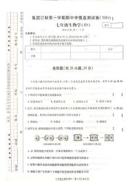 河南省安阳市内黄县实验中学2024-2025学年七年级上学期期中考试生物试卷
