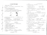 山东省淄博市周村区2024-2025学年八年级上学期期中考试生物试题