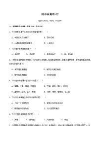 2024-2025学年七年级生物上学期期中测试卷二（含答案）