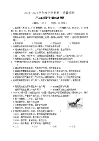 山东省日照市岚山区2024-2025学年八年级上学期期中考试生物试题
