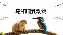 初中生物人教版（2024）七年级上册（2024）三 鸟和哺乳动物教学课件ppt