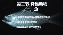 人教版（2024）七年级上册（2024）一 鱼课堂教学课件ppt